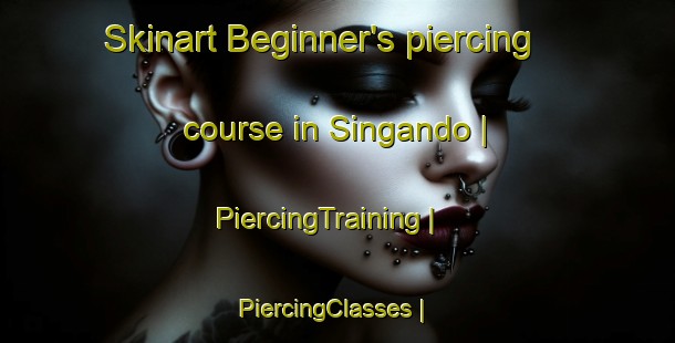 Skinart Beginner's piercing course in Singando | PiercingTraining | PiercingClasses | SkinartTraining-the Democratic Republic of the Congo